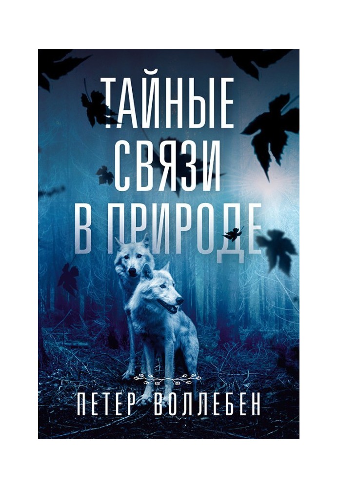 Таємні зв'язки у природі