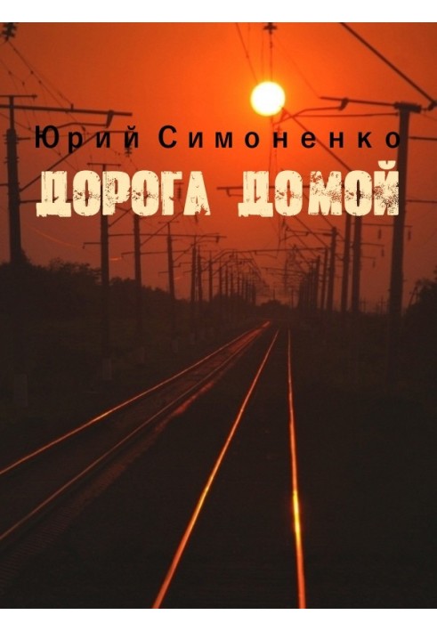 Дорога домой