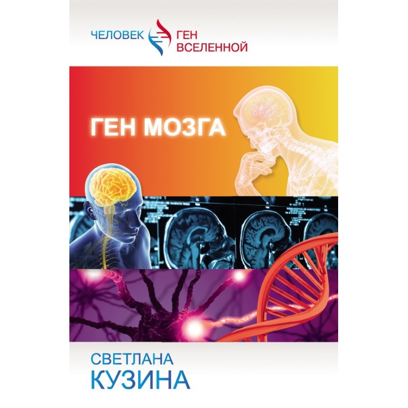 Brain gene
