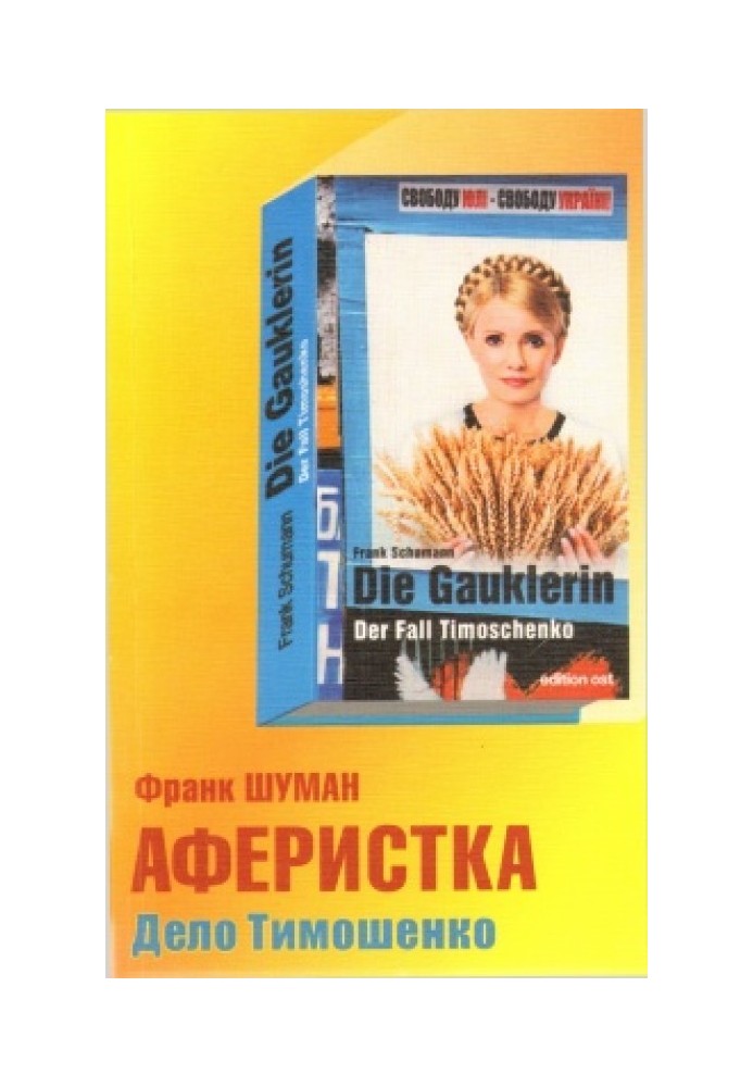 A swindler. Tymoshenko case