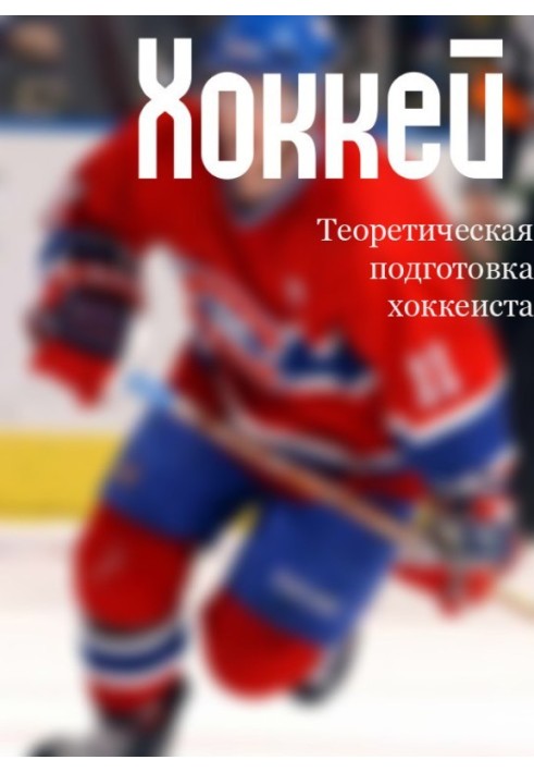 Theoretical training of a hockey player