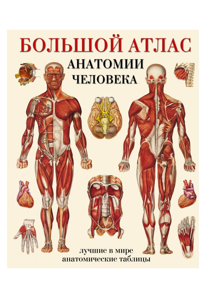 Large atlas of anatomy of man. The best in the world anatomic tables