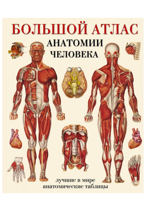 Large atlas of anatomy of man. The best in the world anatomic tables