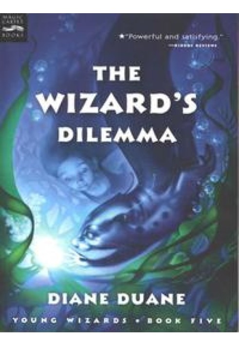 Wizard's Dilemma