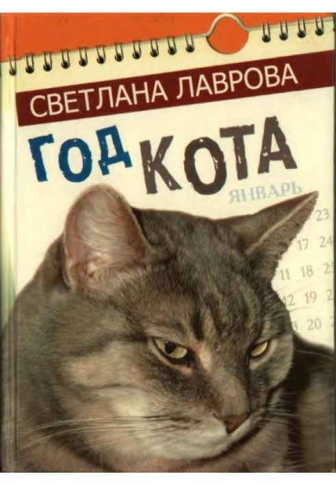 Рік кота