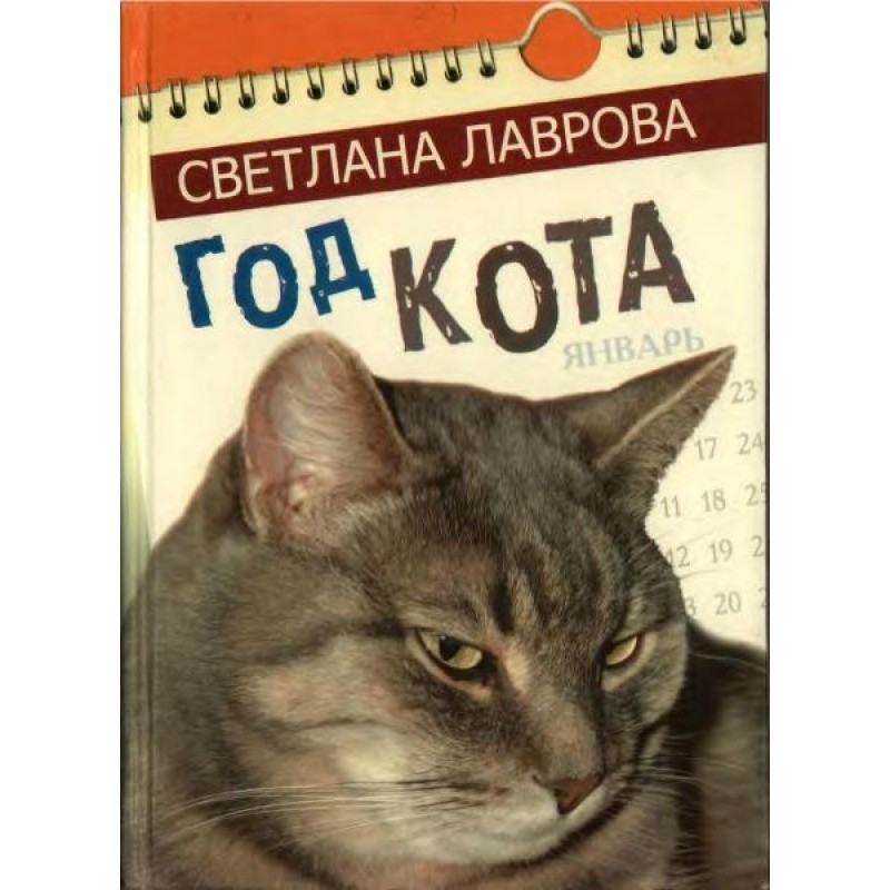 Year of the cat
