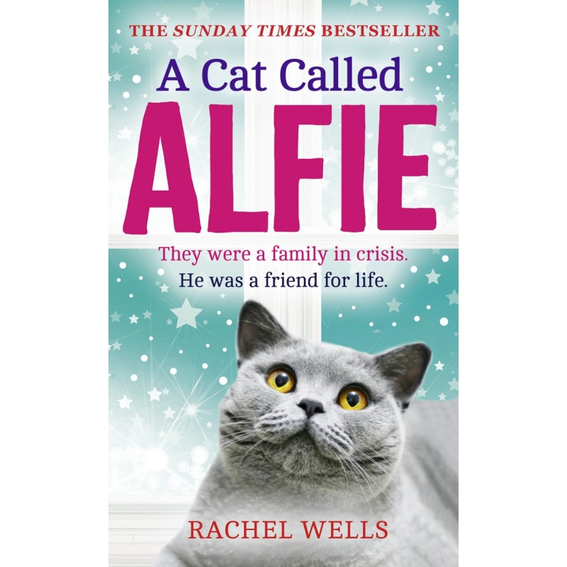 Кот по имени Алфи