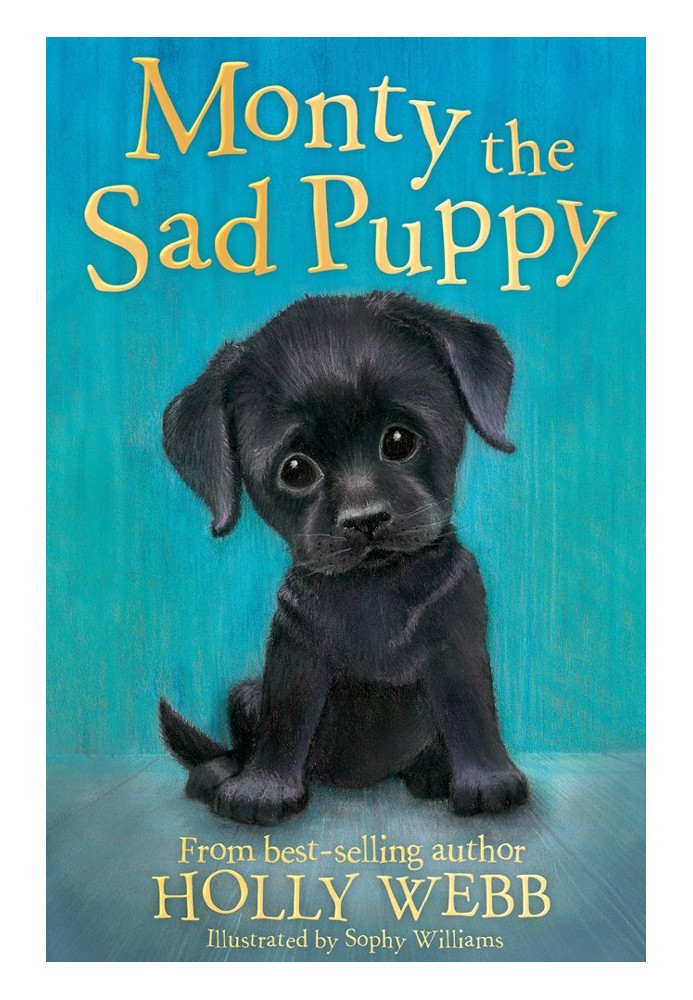 Monty the Sad Puppy