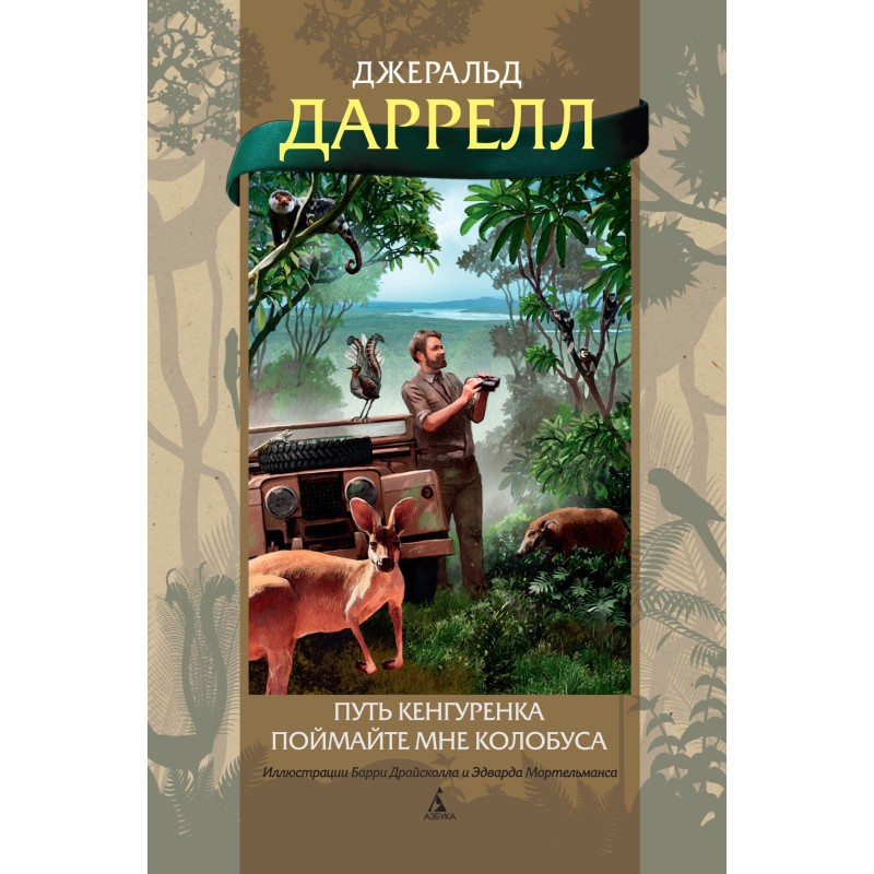 The path of the kangaroo....