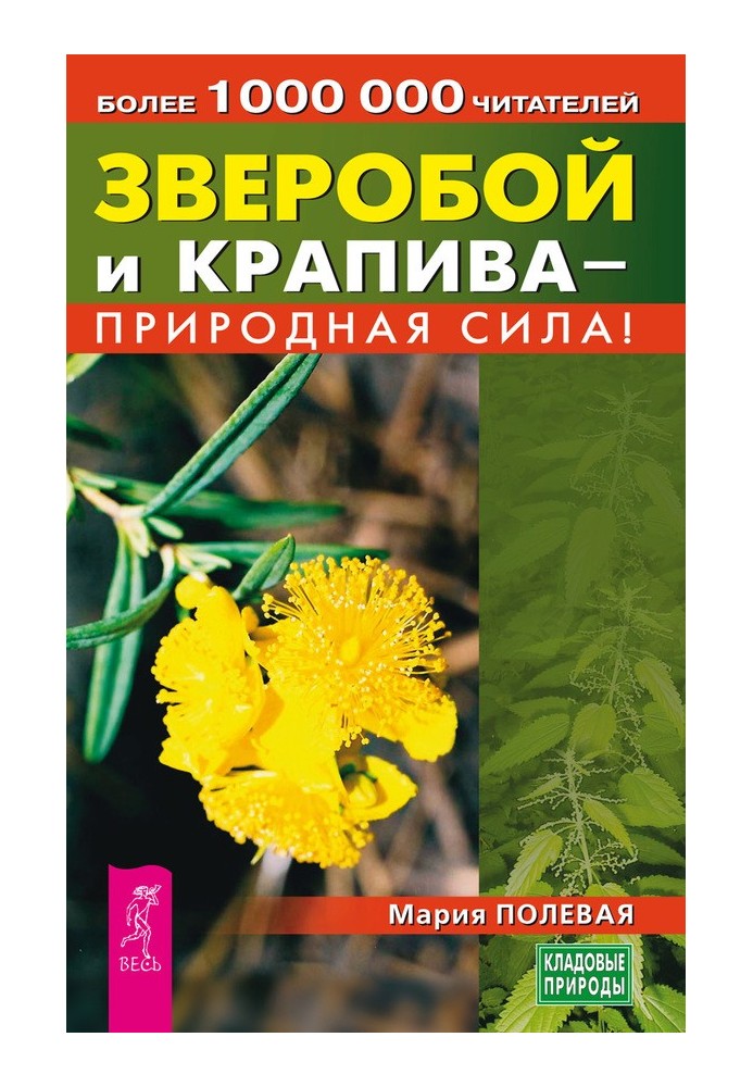 Зверобой и крапива – природная сила!