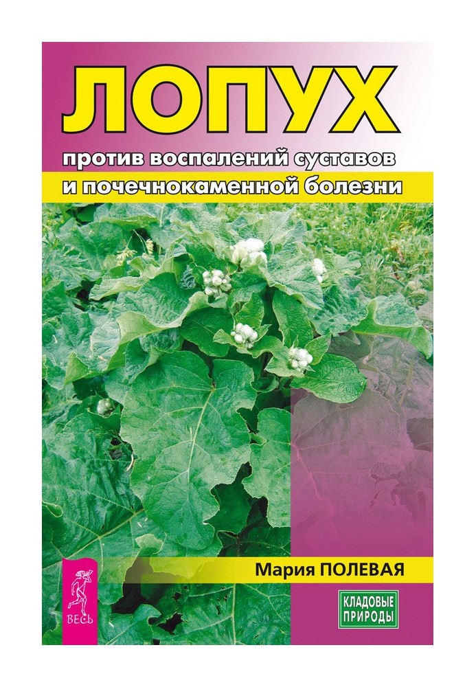 Лопух против воспалений суставов и почечнокаменной болезни