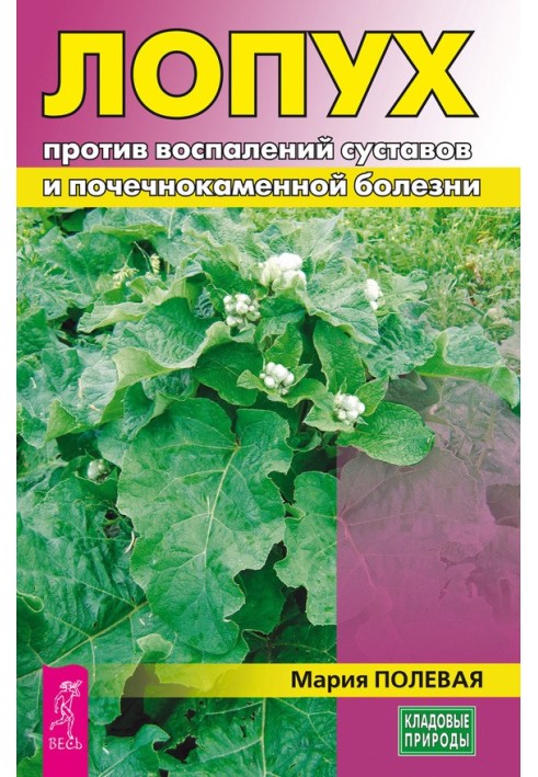 Лопух против воспалений суставов и почечнокаменной болезни