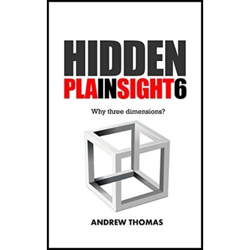 Hidden In Plain Sight 6:...