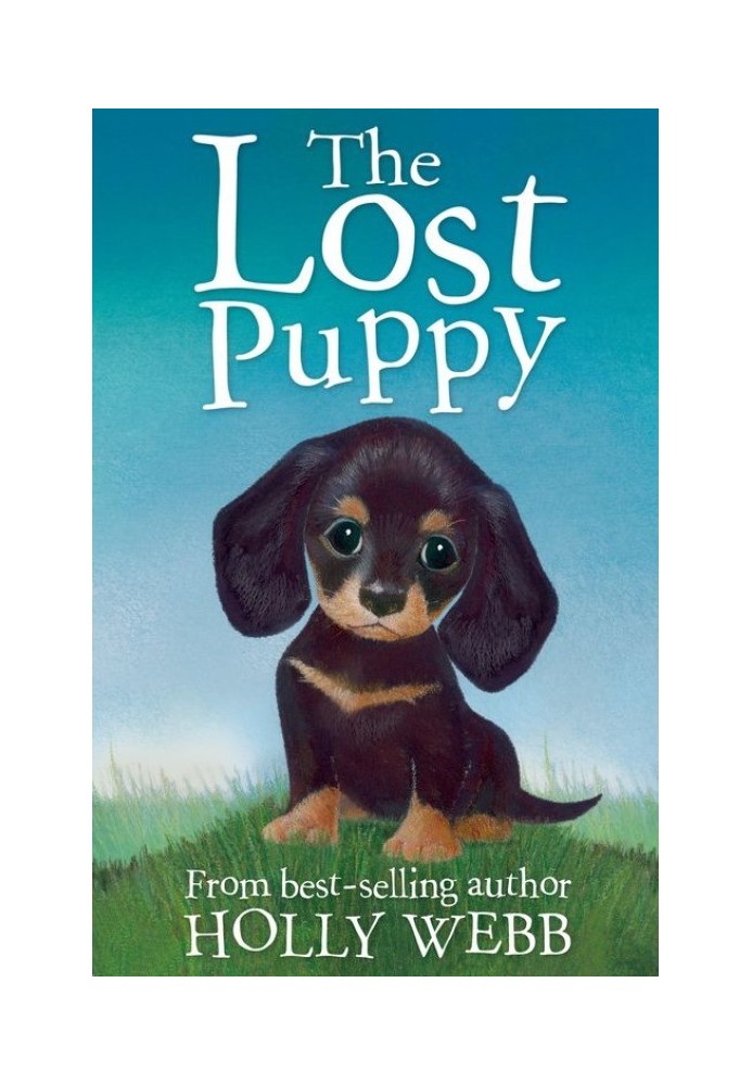 The Lost Puppy