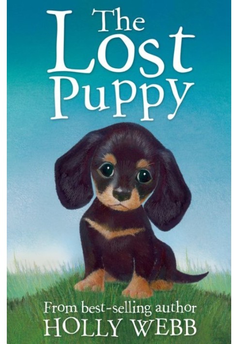 The Lost Puppy