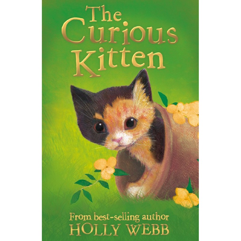 The Curious Kitten