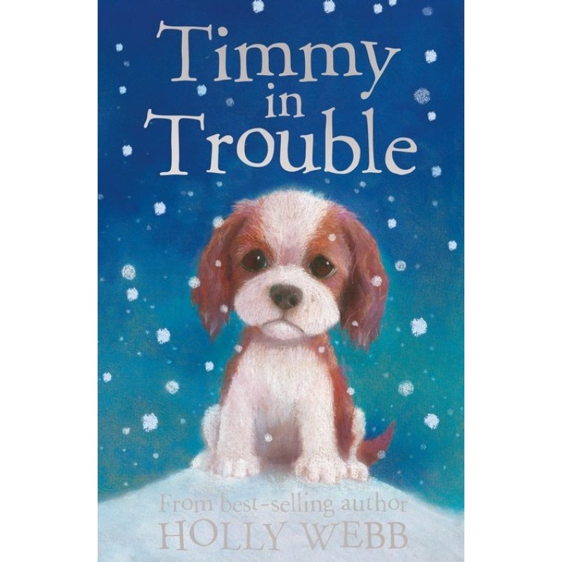 Timmy in Trouble
