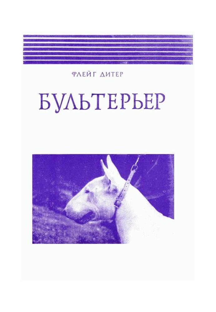 Bull Terrier