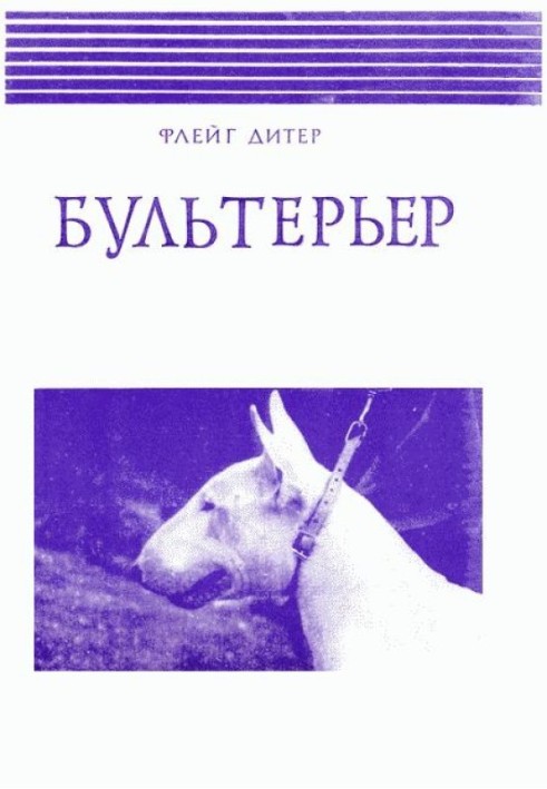 Bull Terrier