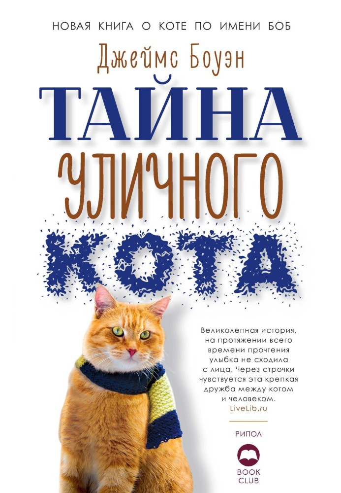 Тайна уличного кота