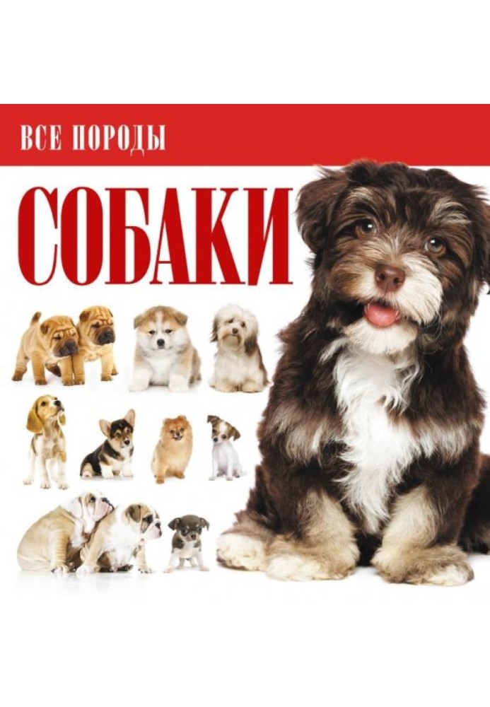 Собаки (Все породы)