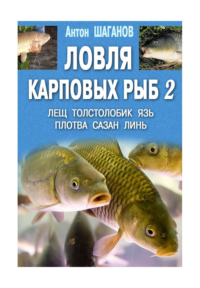 Лов коропових риб 2