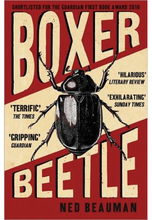 Boxer, Beetle