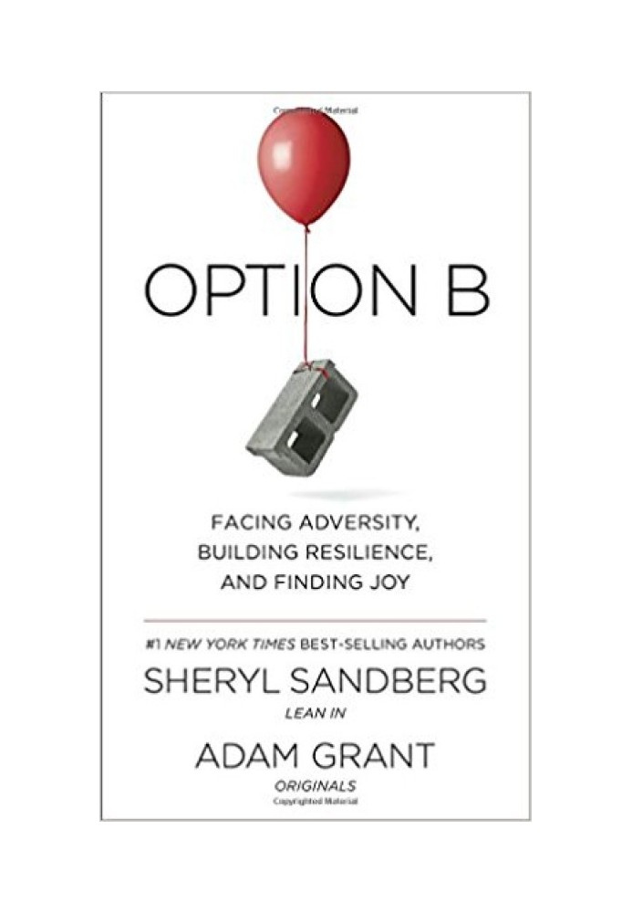 Option B: Facing Adversity, Building Resilience, and Finding Joy