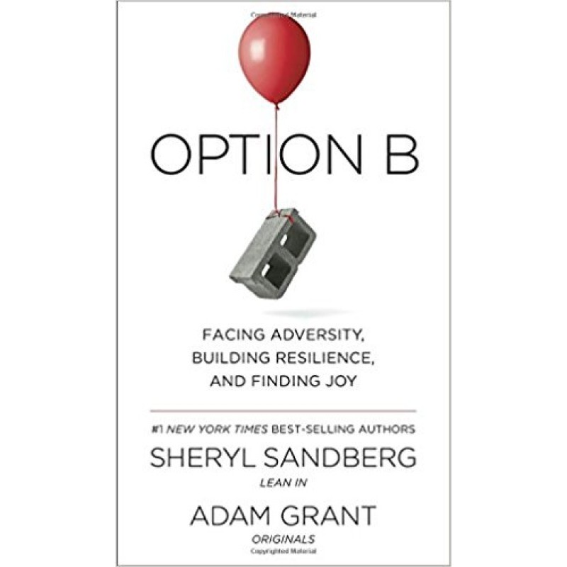 Option B: Facing Adversity,...