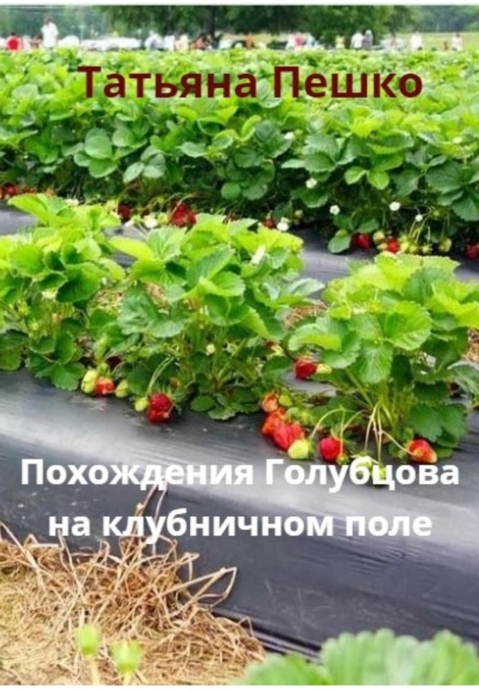 Golubtsov's adventures in a strawberry field