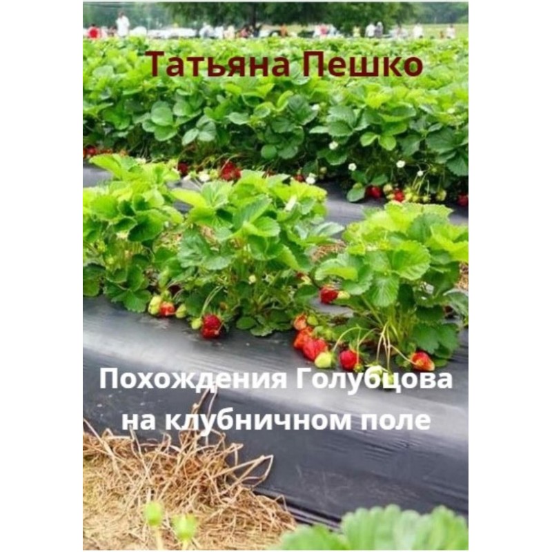 Golubtsov's adventures in a...