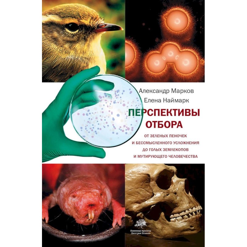 Selection prospects. From...