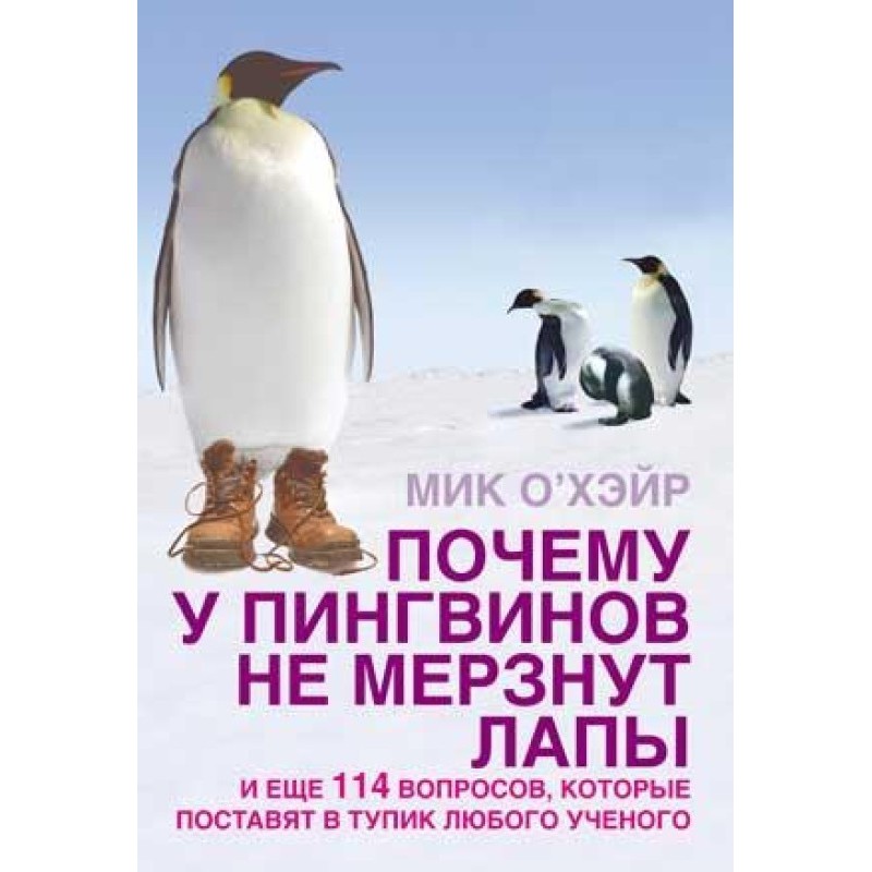 Why don't penguins' paws...
