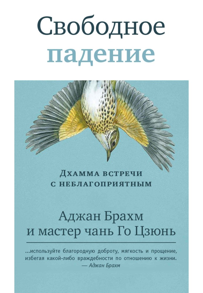 Вільне падіння. Дхамма зустрічі з несприятливим