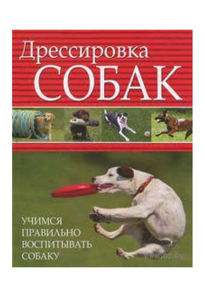 Дрессировка собак. Учимся правильно воспитывать собаку