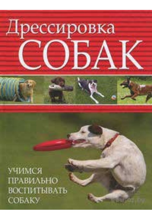 Дрессировка собак. Учимся правильно воспитывать собаку