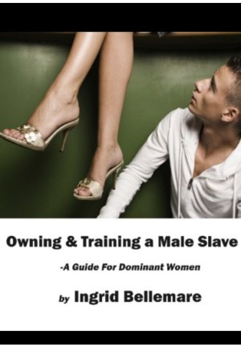 Owning and Training a Male Slave