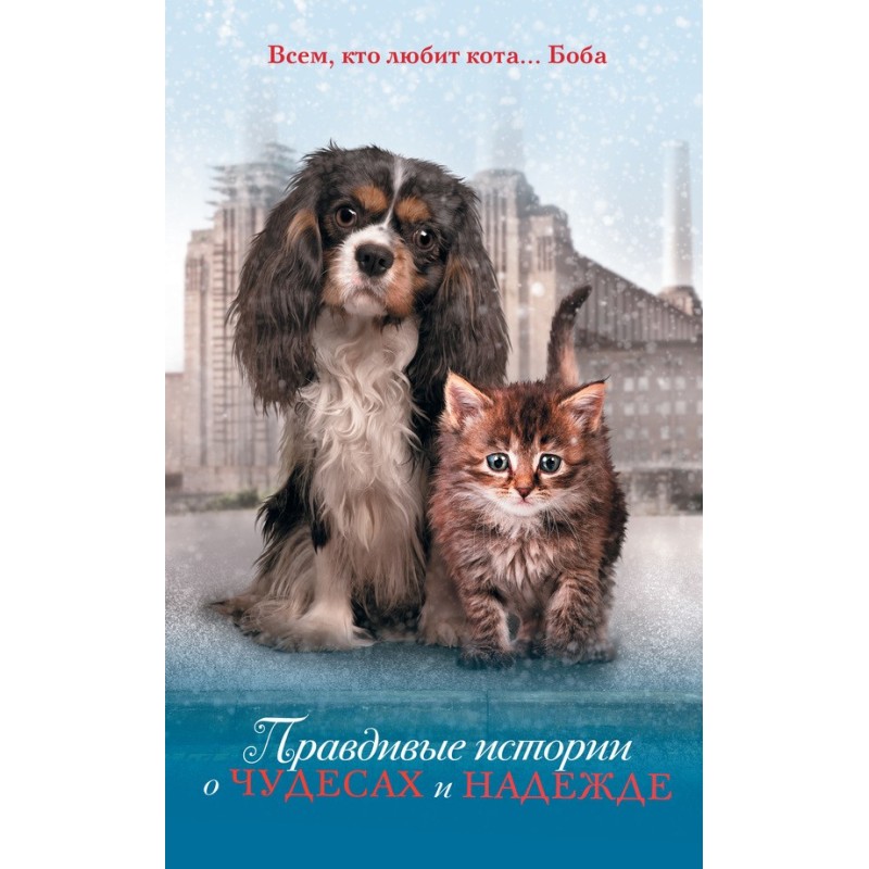 True stories of miracles...