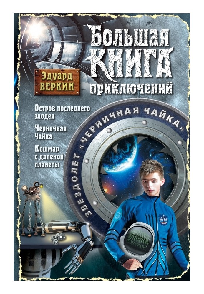 Звездолет «Черничная Чайка»