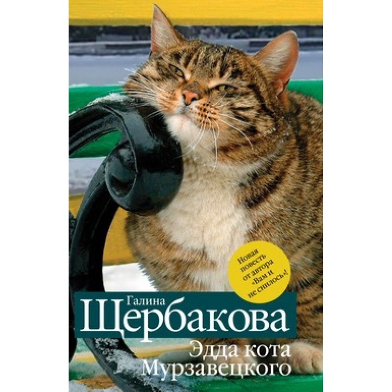 Edda of the cat Murzavetsky...