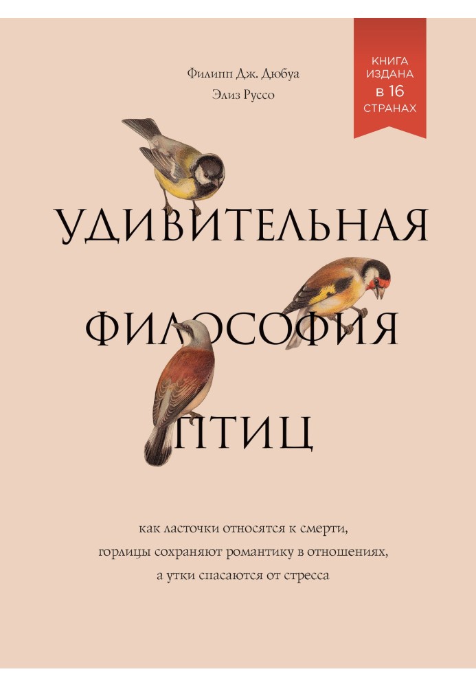 Дивовижна філософія птахів: Як ластівки ставляться до смерті, горлиці зберігають романтику у стосунках, а качки рятуються від ст