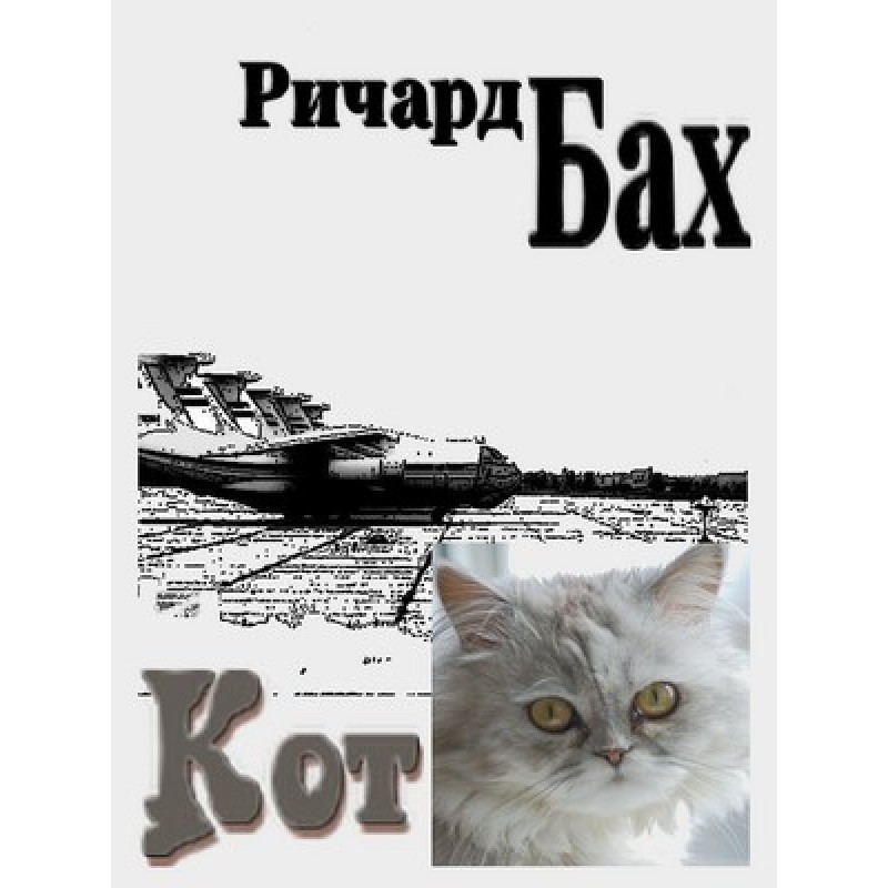 Кіт