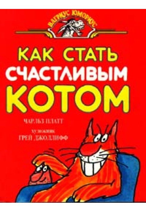 Як стати щасливим котом