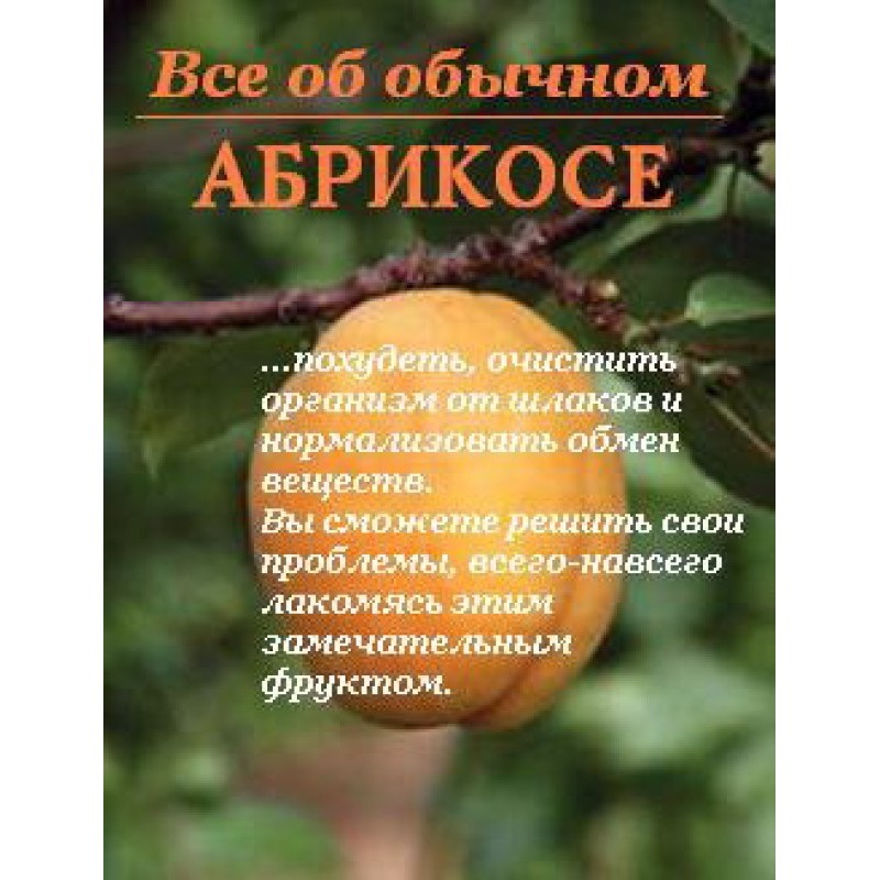 All about the ordinary apricot