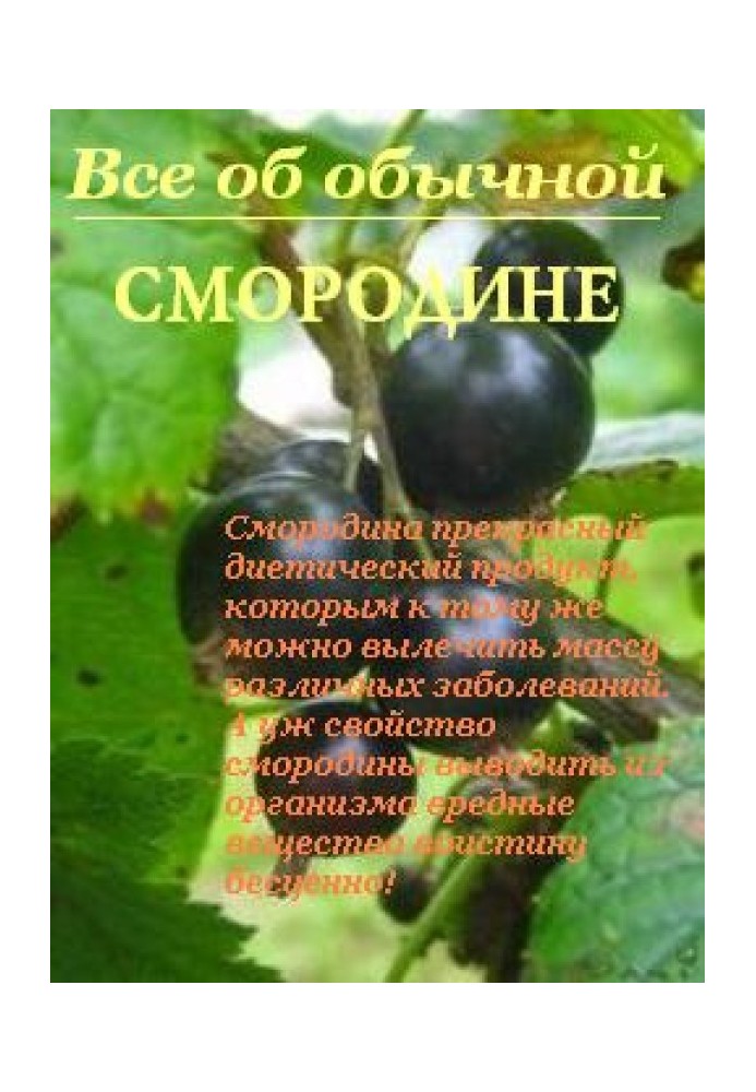 Все об обычной смородине