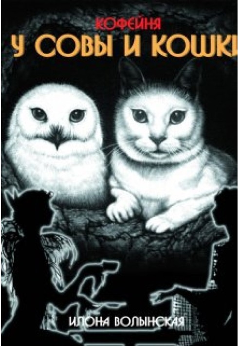 Owl and Cat Coffee House