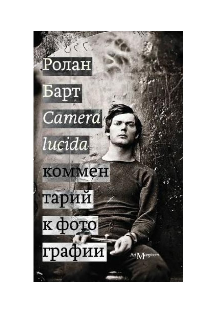 Camera lucida. Комментарий к фотографии