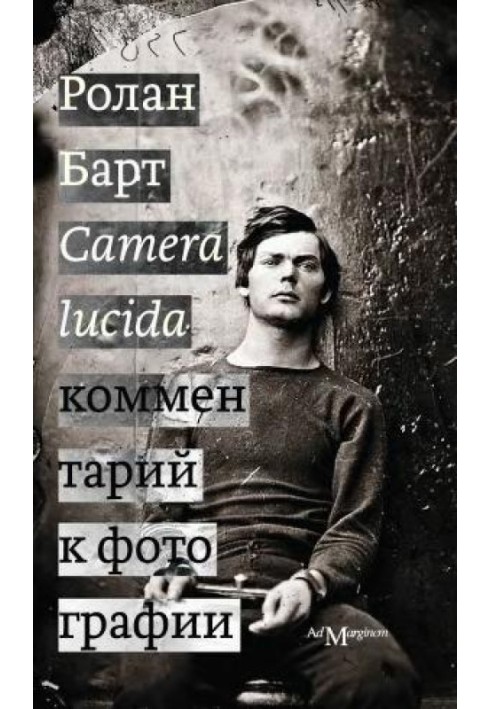 Camera lucida. Комментарий к фотографии