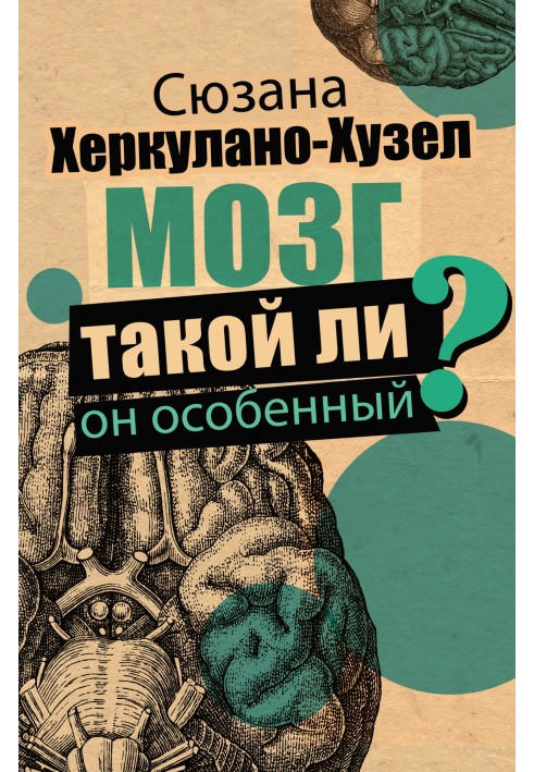 Мозг. Такой ли он особенный?