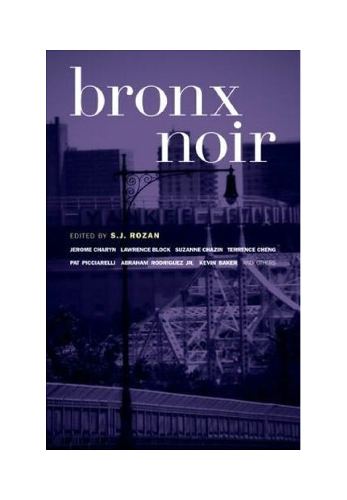 Bronx Noir